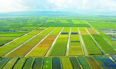 泰安汶農(nóng)種業(yè)有限責任公司