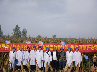 豐樂(lè)種業(yè):釋放創(chuàng)新活力 跑出科研&ldquo;加速度&rdquo;