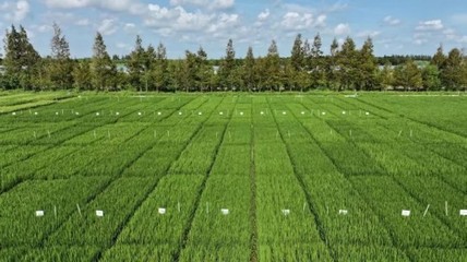 光明農(nóng)發(fā)集團(tuán)聚焦種業(yè)創(chuàng)新,打造長(zhǎng)三角未來(lái)種業(yè)發(fā)展策源地